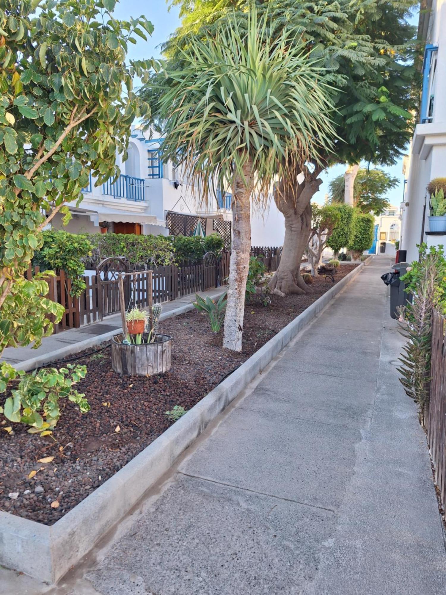 Poolfront Bungalow Playa del Ingles  Luaran gambar